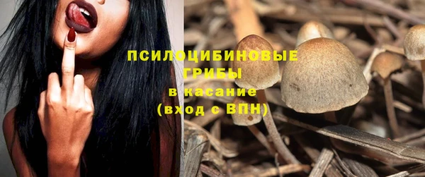 стаф Коряжма