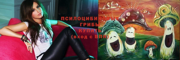 стаф Коряжма