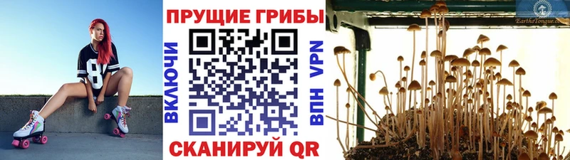 Галлюциногенные грибы ЛСД  Купить  Агидель 